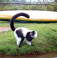 ���� ��������